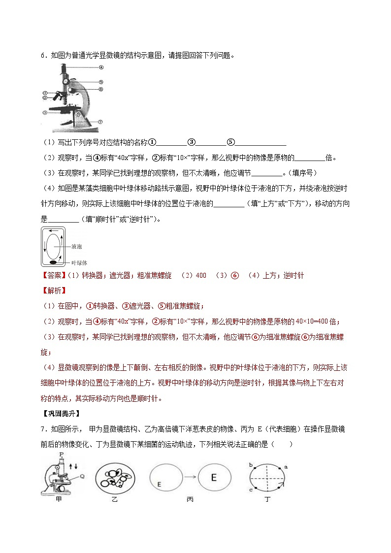 【核心素养】浙教版科学七年级上册 2.1 生物体的基本单位（第2课时）（教学课件+同步教案+同步练习）03
