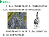 【核心素养】浙教版科学七年级上册 2.1 生物体的基本单位（第2课时）（教学课件+同步教案+同步练习）