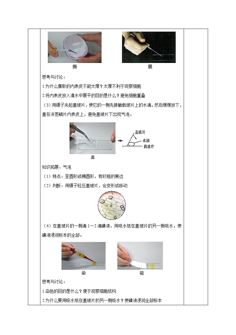【核心素养】浙教版科学七年级上册 2.1 生物体的基本单位（第3课时）（教学课件+同步教案+同步练习）03