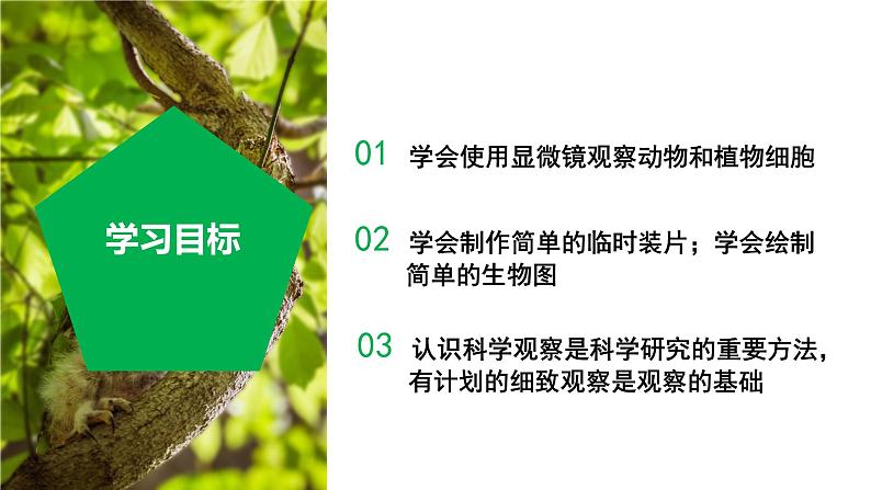 【核心素养】浙教版科学七年级上册 2.1 生物体的基本单位（第3课时）（教学课件+同步教案+同步练习）03