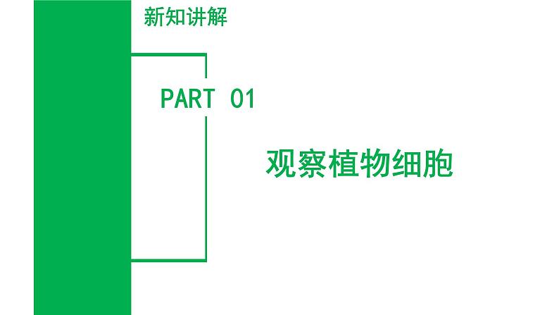 【核心素养】浙教版科学七年级上册 2.1 生物体的基本单位（第3课时）（教学课件+同步教案+同步练习）07