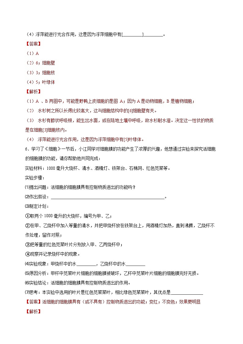 【核心素养】浙教版科学七年级上册 2.1 生物体的基本单位（第4课时）（教学课件+同步教案+同步练习）03