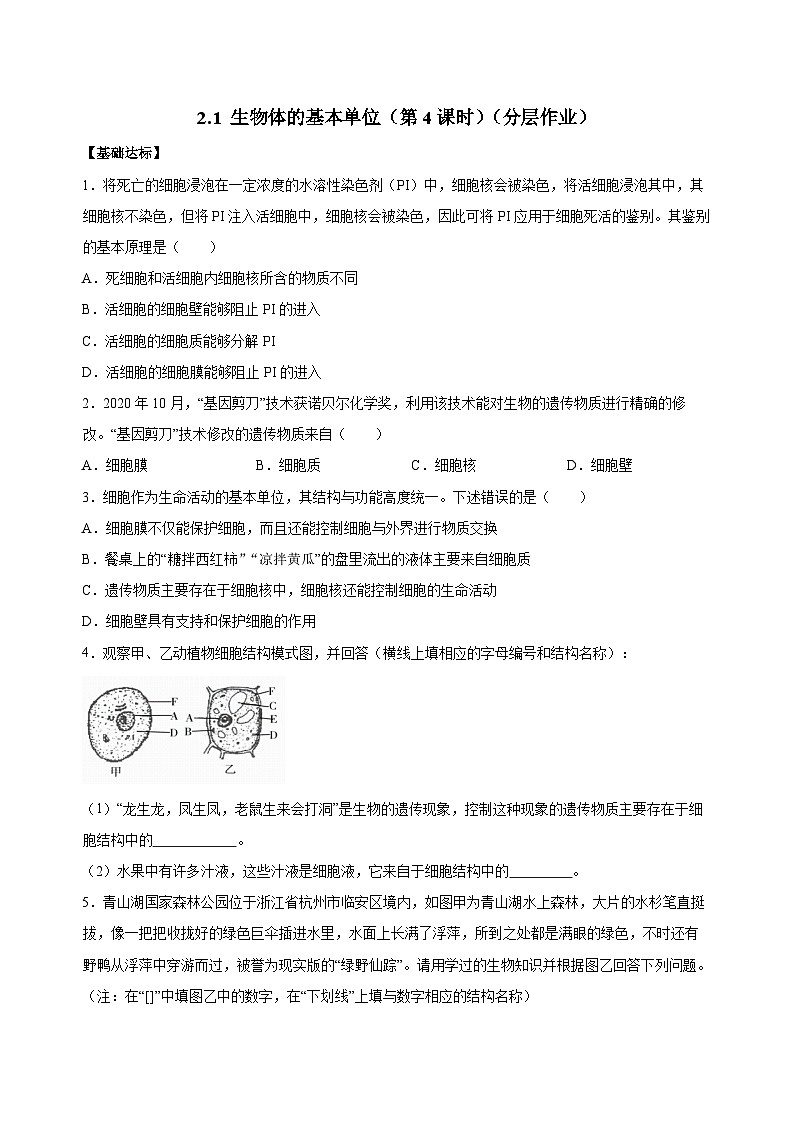 【核心素养】浙教版科学七年级上册 2.1 生物体的基本单位（第4课时）（教学课件+同步教案+同步练习）01