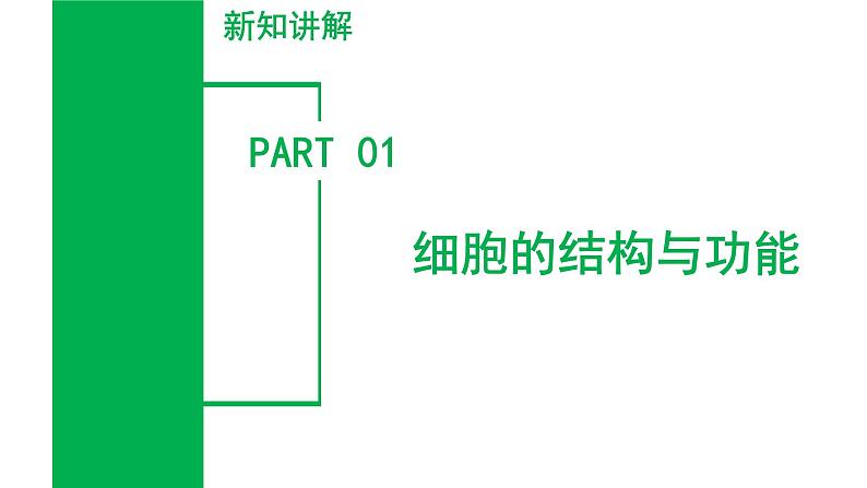 【核心素养】浙教版科学七年级上册 2.1 生物体的基本单位（第4课时）（教学课件+同步教案+同步练习）05