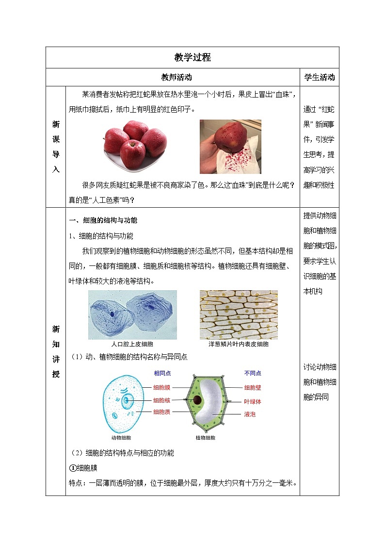【核心素养】浙教版科学七年级上册 2.1 生物体的基本单位（第4课时）（教学课件+同步教案+同步练习）02