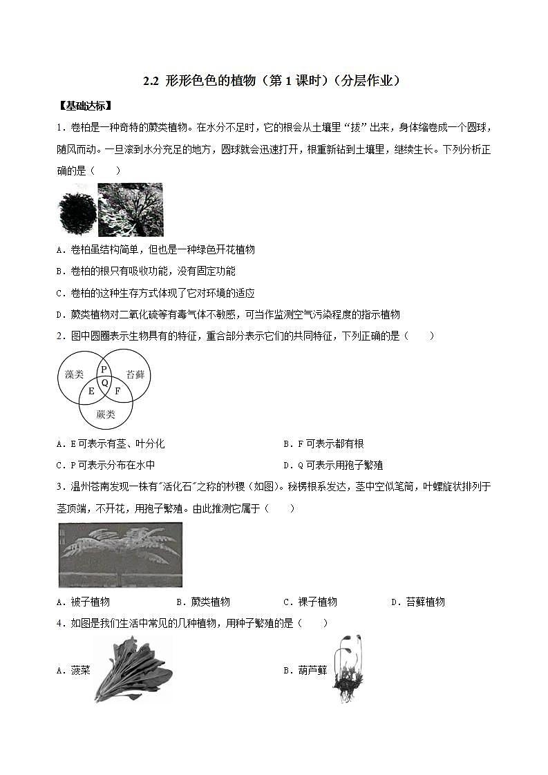 【核心素养】浙教版科学七年级上册 2.2 形形色色的植物（第1课时）（教学课件+同步教案+同步练习）01