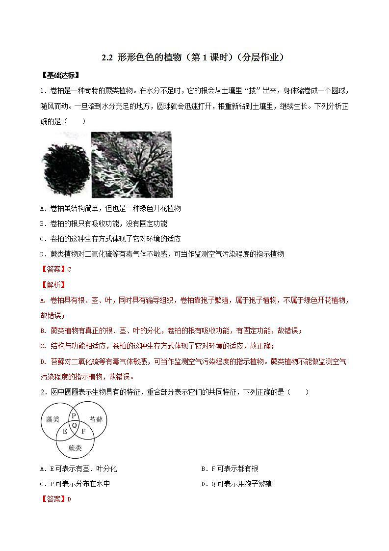 【核心素养】浙教版科学七年级上册 2.2 形形色色的植物（第1课时）（教学课件+同步教案+同步练习）01