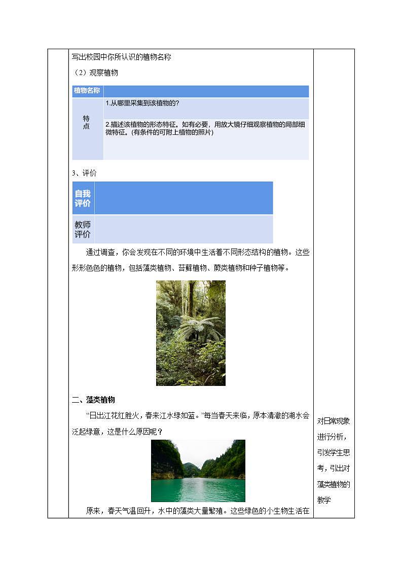 【核心素养】浙教版科学七年级上册 2.2 形形色色的植物（第1课时）（教学课件+同步教案+同步练习）03