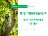 【核心素养】浙教版科学七年级上册 2.2 形形色色的植物（第1课时）（教学课件+同步教案+同步练习）