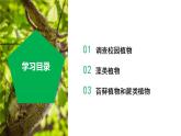 【核心素养】浙教版科学七年级上册 2.2 形形色色的植物（第1课时）（教学课件+同步教案+同步练习）