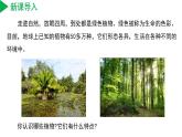 【核心素养】浙教版科学七年级上册 2.2 形形色色的植物（第1课时）（教学课件+同步教案+同步练习）