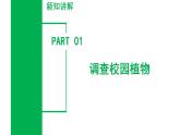 【核心素养】浙教版科学七年级上册 2.2 形形色色的植物（第1课时）（教学课件+同步教案+同步练习）