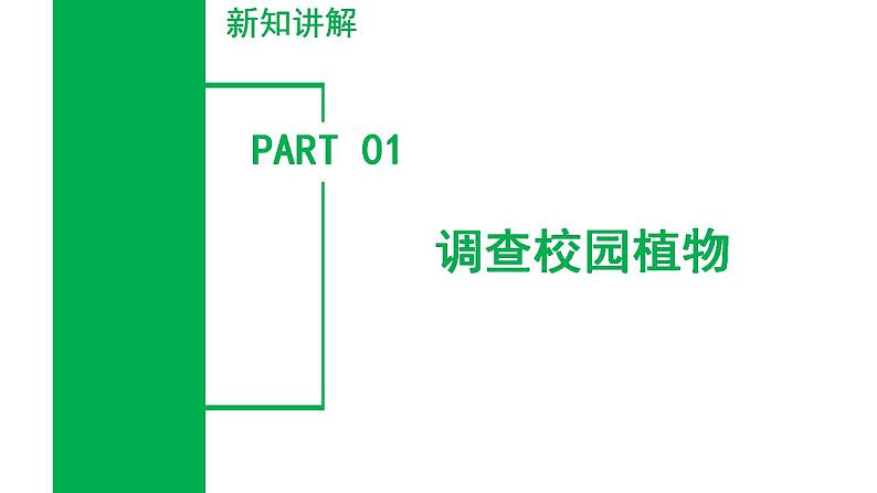 【核心素养】浙教版科学七年级上册 2.2 形形色色的植物（第1课时）（教学课件+同步教案+同步练习）05