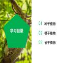 【核心素养】浙教版科学七年级上册 2.2 形形色色的植物（第2课时）（教学课件+同步教案+同步练习）