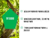 【核心素养】浙教版科学七年级上册 2.2 形形色色的植物（第2课时）（教学课件+同步教案+同步练习）