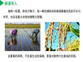 【核心素养】浙教版科学七年级上册 2.2 形形色色的植物（第2课时）（教学课件+同步教案+同步练习）