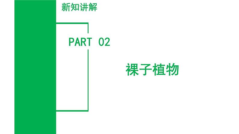 【核心素养】浙教版科学七年级上册 2.2 形形色色的植物（第2课时）（教学课件+同步教案+同步练习）08