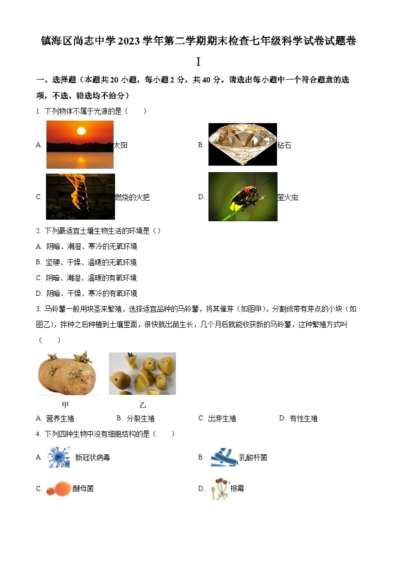 浙江省宁波市镇海区尚志中学2023-2024学年七年级下学期期末科学试题（原卷版+解析版）01