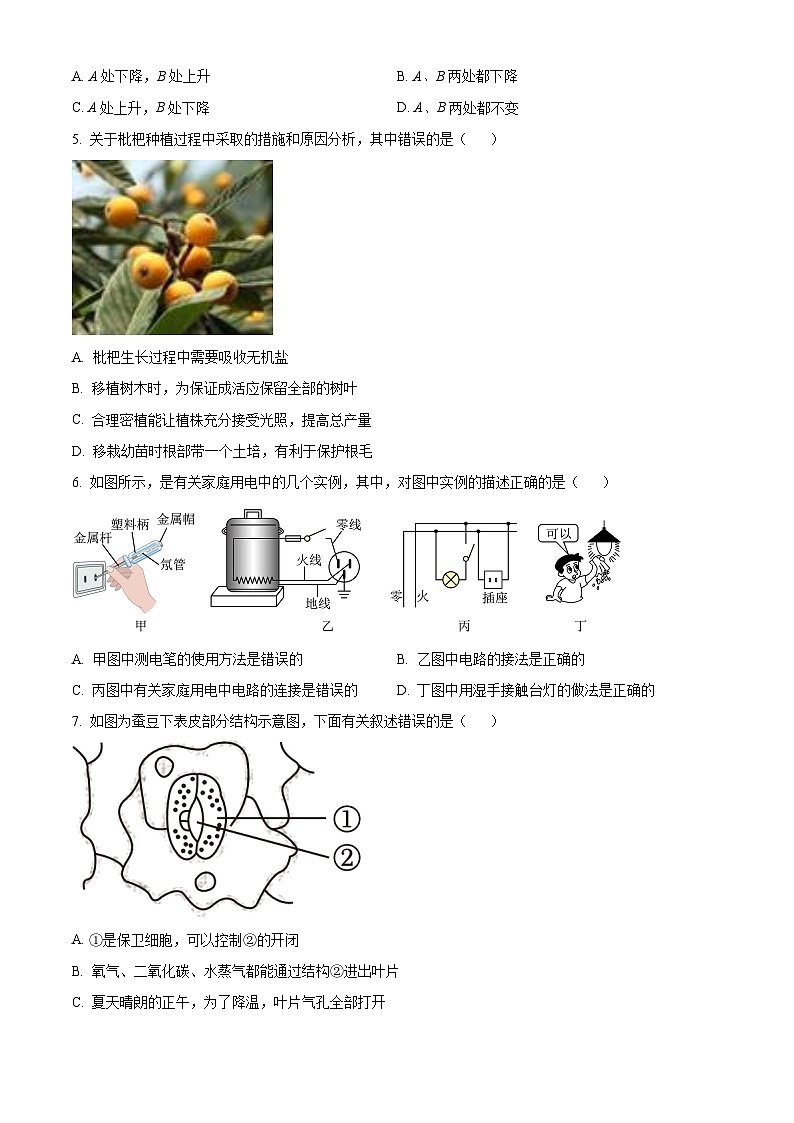 浙江省温州市娄桥外国语学校2023-2024学年八年级下学期期末科学试题（原卷版+解析版）02
