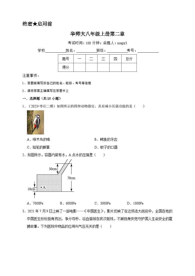 2024秋华师大版 初中科学 八年级上册第二章B卷（含解析）01