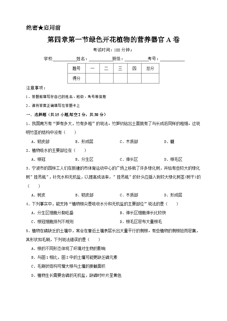 2024秋华师大版 初中科学 八年级上册4.1绿色开花植物的营养器官（原卷版+解析版）01