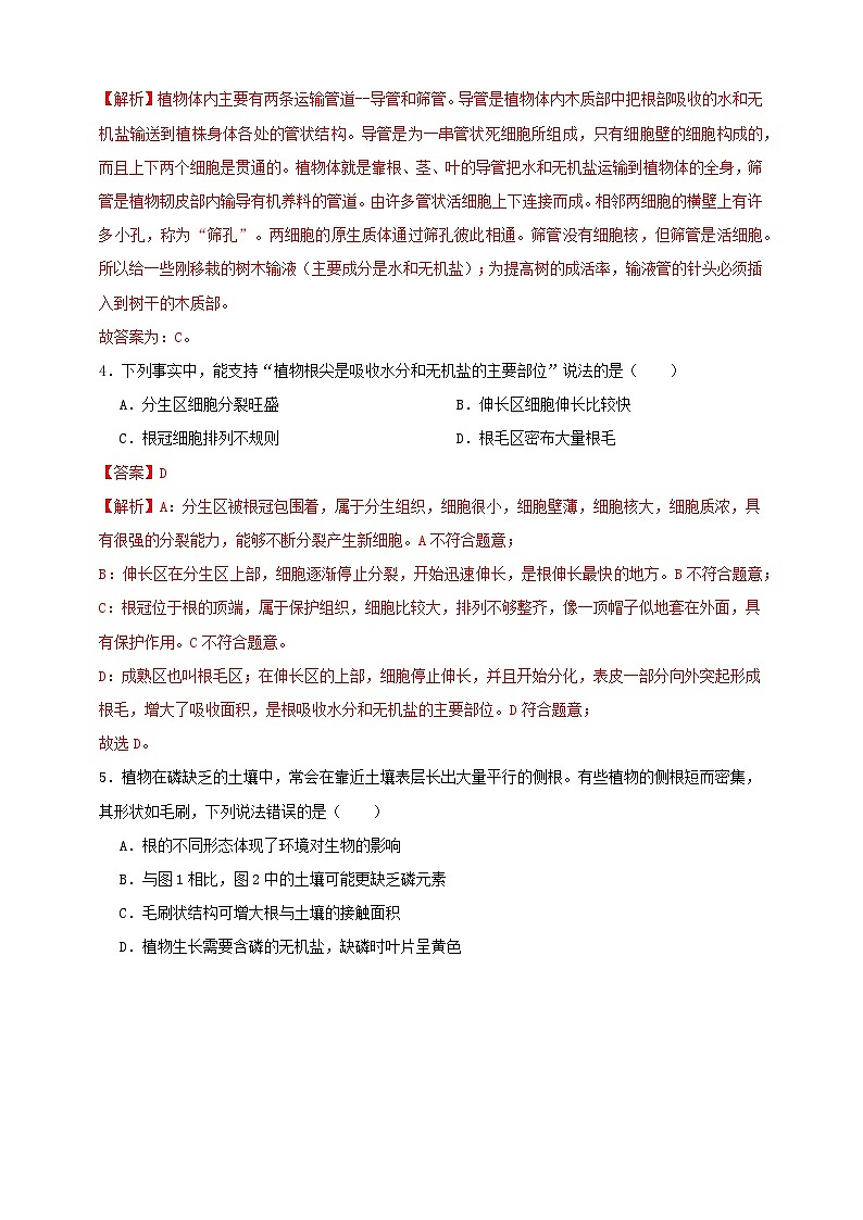 2024秋华师大版 初中科学 八年级上册4.1绿色开花植物的营养器官（原卷版+解析版）02