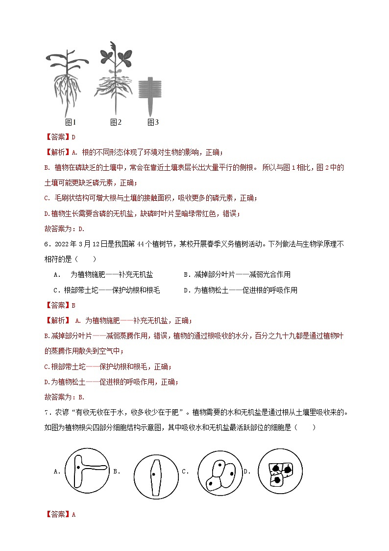 2024秋华师大版 初中科学 八年级上册4.1绿色开花植物的营养器官（原卷版+解析版）03
