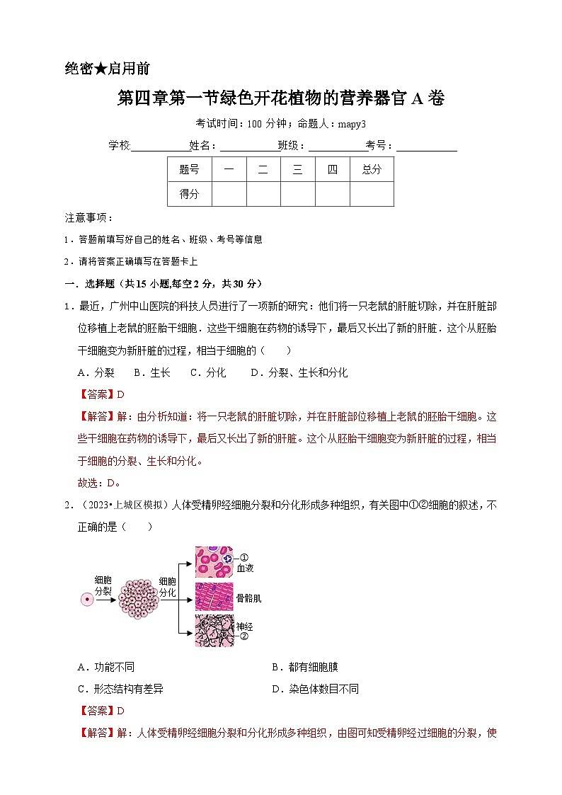 2024秋华师大版 初中科学 八年级上册4.1绿色开花植物的营养器官B卷（含解析）01