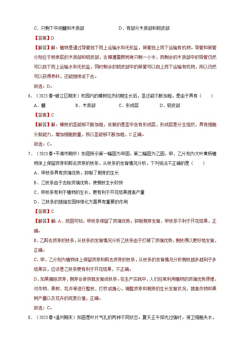 2024秋华师大版 初中科学 八年级上册4.1绿色开花植物的营养器官B卷（含解析）03