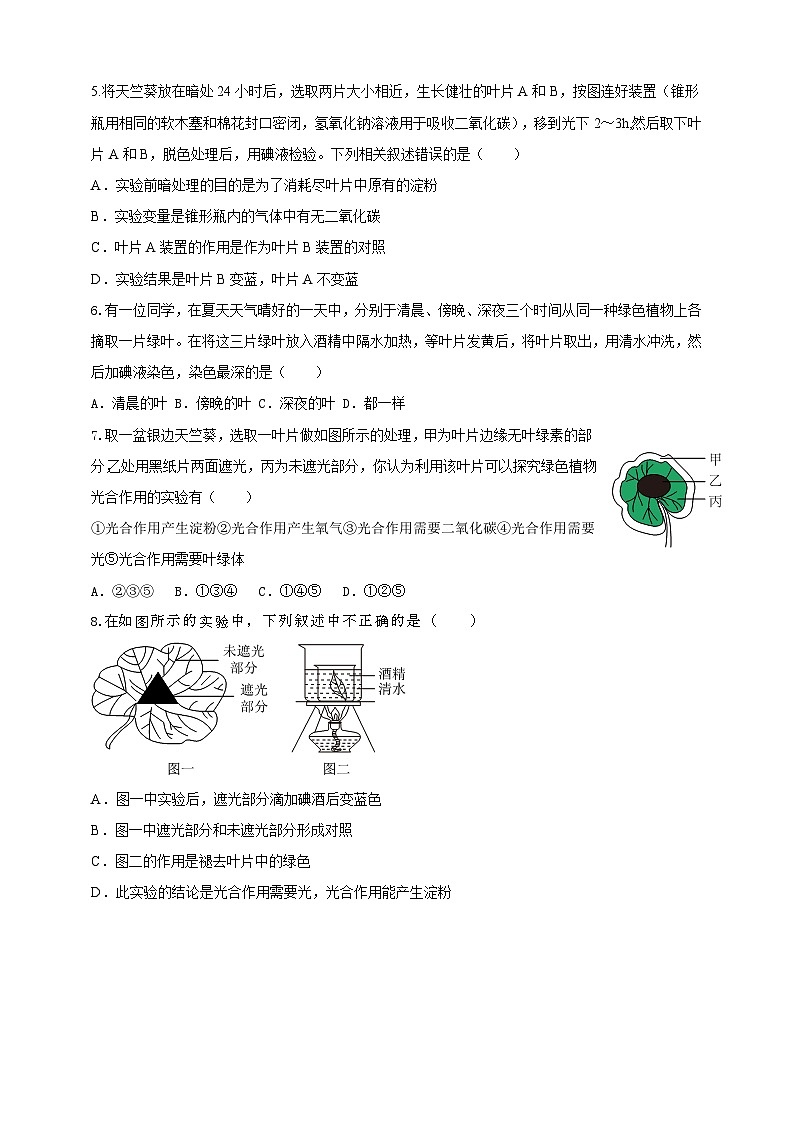 2024秋华师大版 初中科学 八年级上册4.4 植物的光合作用和呼吸作用A卷（含解析版）02