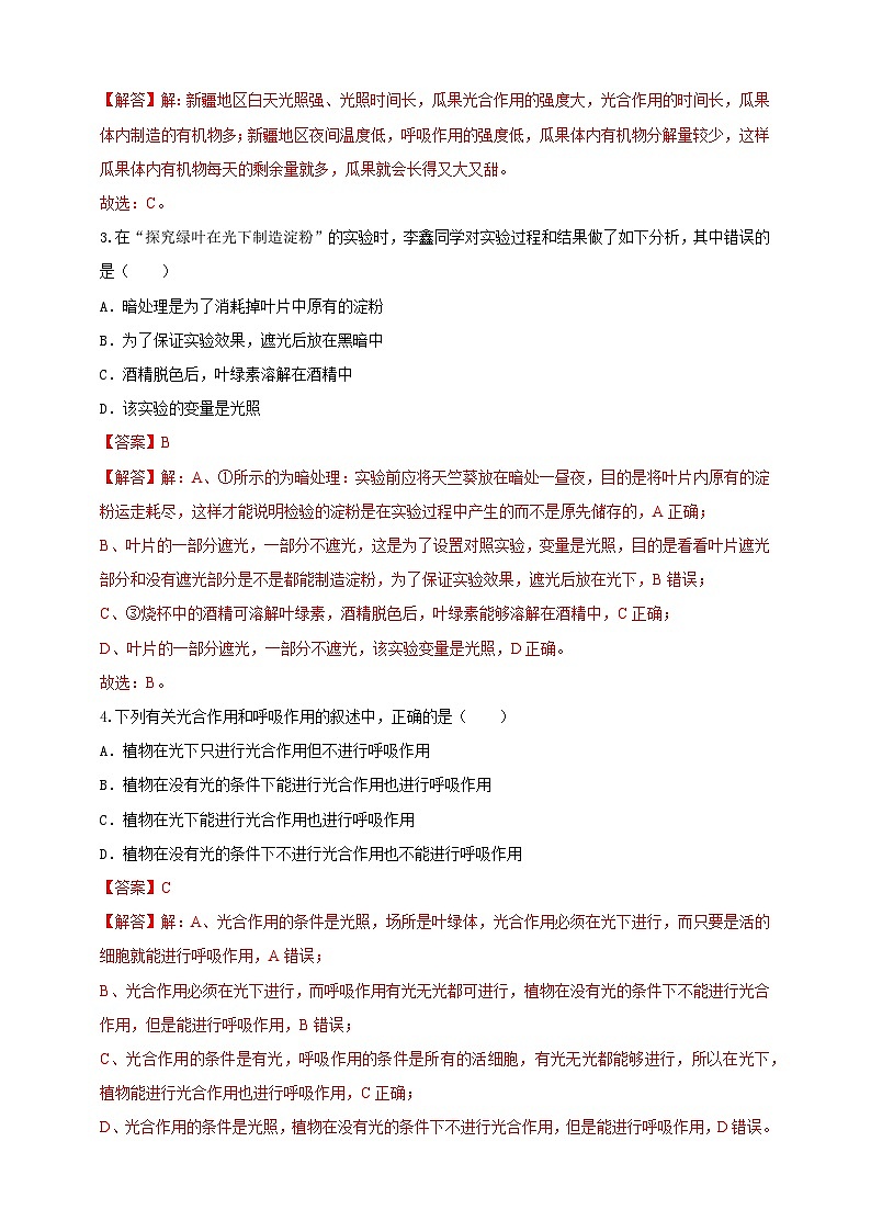 2024秋华师大版 初中科学 八年级上册4.4 植物的光合作用和呼吸作用A卷（含解析版）02