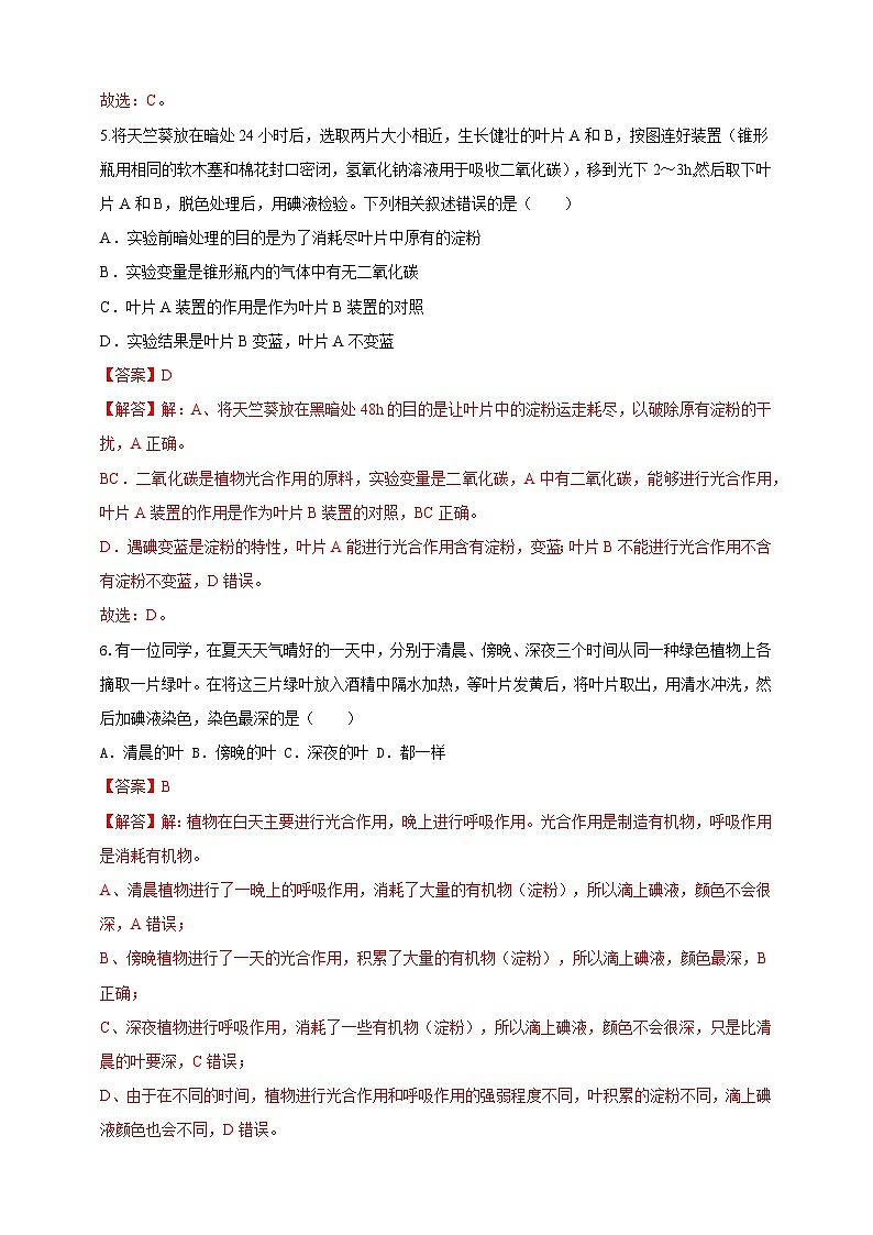 2024秋华师大版 初中科学 八年级上册4.4 植物的光合作用和呼吸作用A卷（含解析版）03