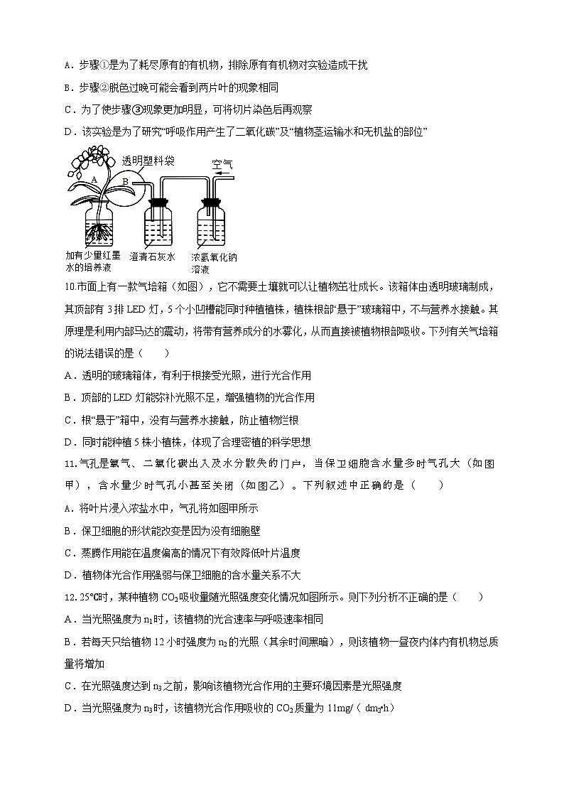 2024秋华师大版 初中科学 八年级上册4.4 植物的光合作用和呼吸作用B卷（含解析版）03