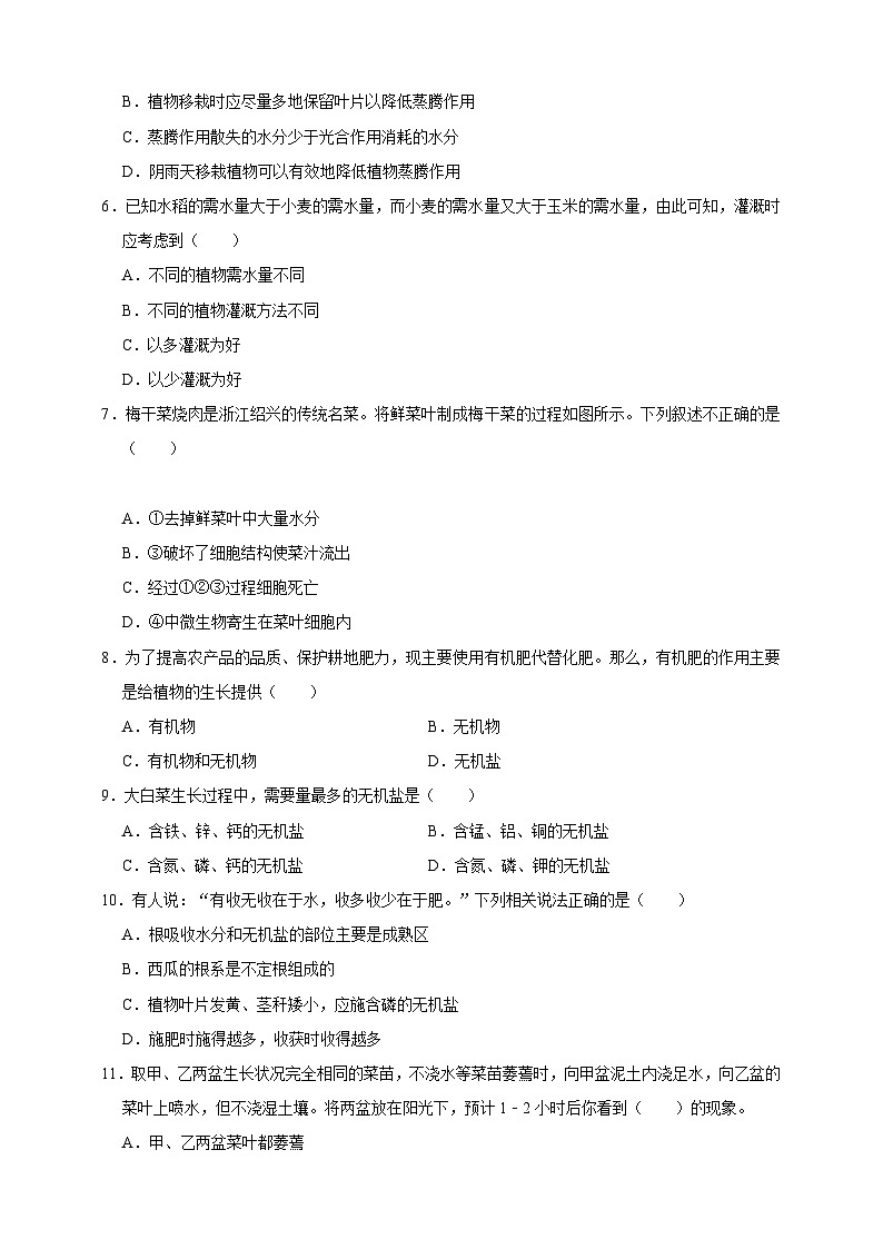 2024秋华师大版 初中科学 八年级上册第四章第二节 水在植物体中的代谢 第三节 无机盐在植物体内的代谢A卷（含解析）02