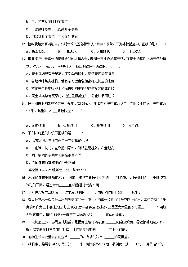 2024秋华师大版 初中科学 八年级上册第四章第二节 水在植物体中的代谢 第三节 无机盐在植物体内的代谢A卷（含解析）03