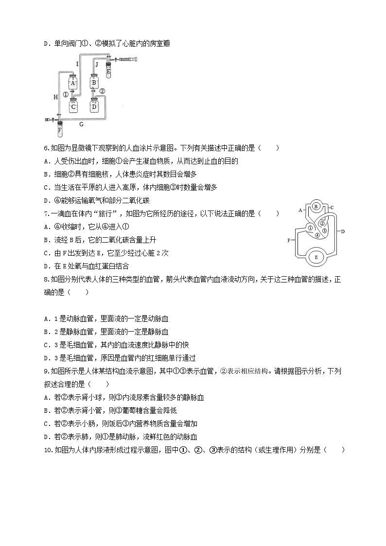 第五章 人体的物质和能量的转化3. 人体内的物质运输4. 人体的排泄5. 人体生命活动过程中物质和能量 A卷（学生版）第2页