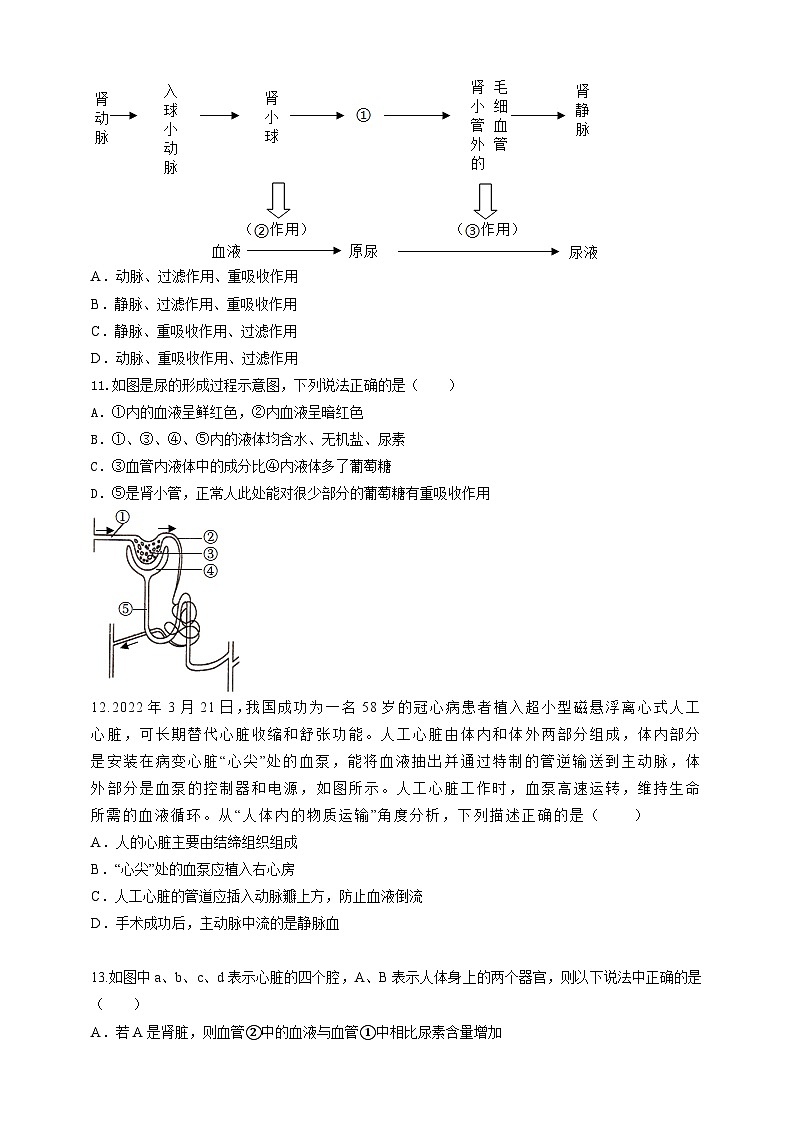 第五章 人体的物质和能量的转化3. 人体内的物质运输4. 人体的排泄5. 人体生命活动过程中物质和能量 A卷（学生版）第3页