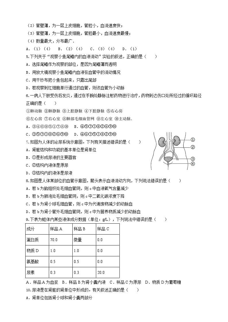 2024秋华师大版 初中科学 八年级上册5.3-5.5综合练习 B卷（含答案）02