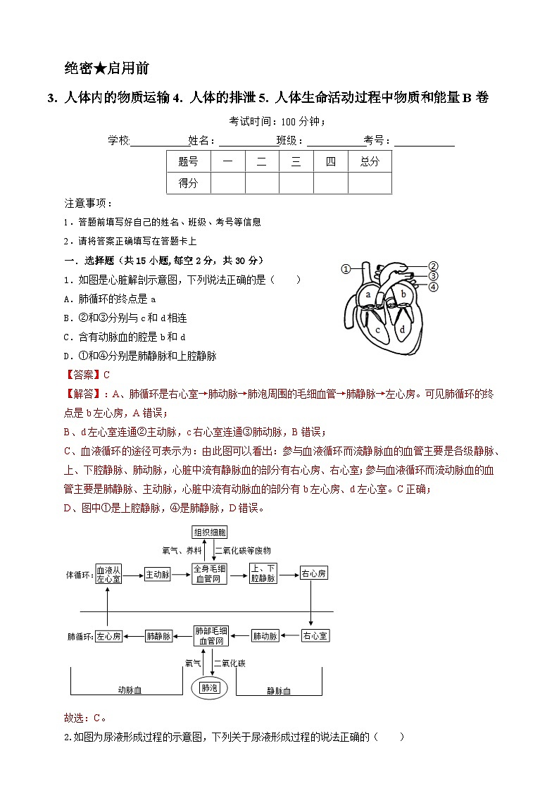 2024秋华师大版 初中科学 八年级上册5.3-5.5综合练习 B卷（含答案）01