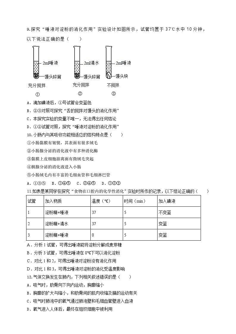2024秋华师大版 初中科学 八年级上册第五章综合练习 A卷（含答案）03