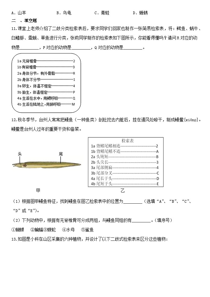 2.4生物的分类同步练习-2024-2025学年浙教版七年级上册科学03