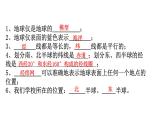 3.1认识地球课件2024—2025学年浙教版科学七年级上册