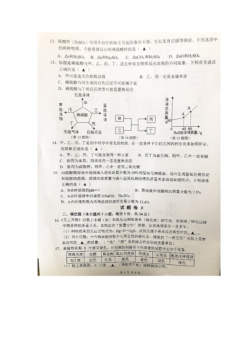 浙江省海曙区高桥中学等四校2023-2024学年九年级上学期期中联考科学试题03