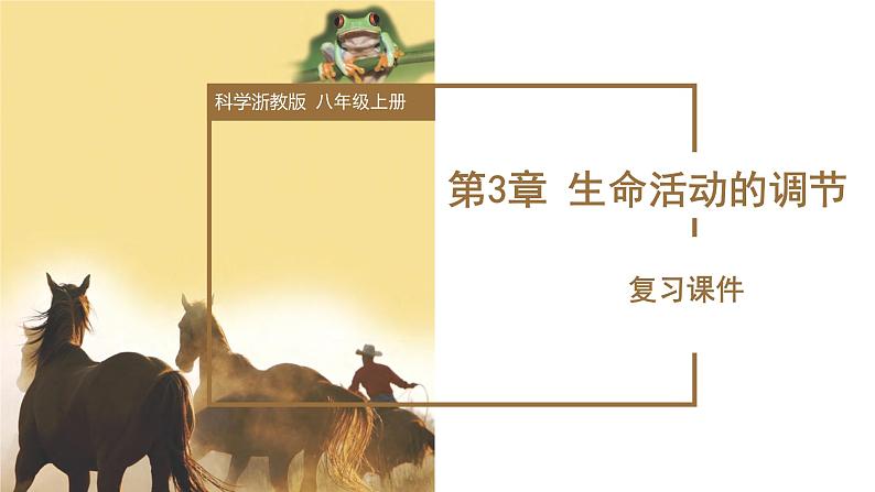 【核心素养】浙教版科学八年级上册 第3章 生命活动的调节（单元复习课件+教学设计+同步练习）01
