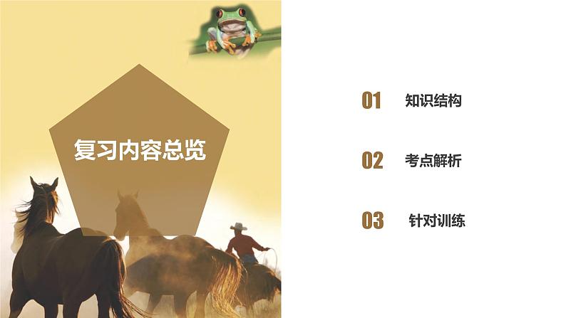 【核心素养】浙教版科学八年级上册 第3章 生命活动的调节（单元复习课件+教学设计+同步练习）02