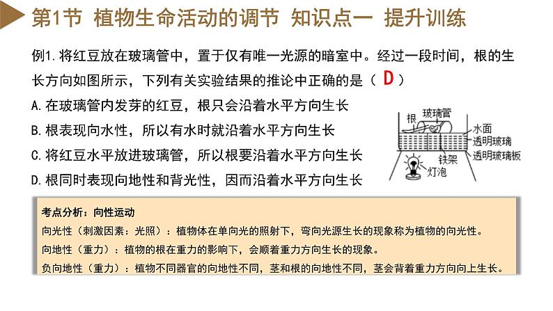 【核心素养】浙教版科学八年级上册 第3章 生命活动的调节（单元复习课件+教学设计+同步练习）06