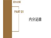 【核心素养】浙教版科学八年级上册 3.2 人体的激素调节（第1课时）（教学课件+教学设计+同步练习）