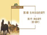 【核心素养】浙教版科学八年级上册 3.3 神经调节（第1课时）（教学课件+教学设计+同步练习）