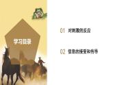 【核心素养】浙教版科学八年级上册 3.3 神经调节（第1课时）（教学课件+教学设计+同步练习）
