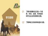 【核心素养】浙教版科学八年级上册 3.3 神经调节（第1课时）（教学课件+教学设计+同步练习）